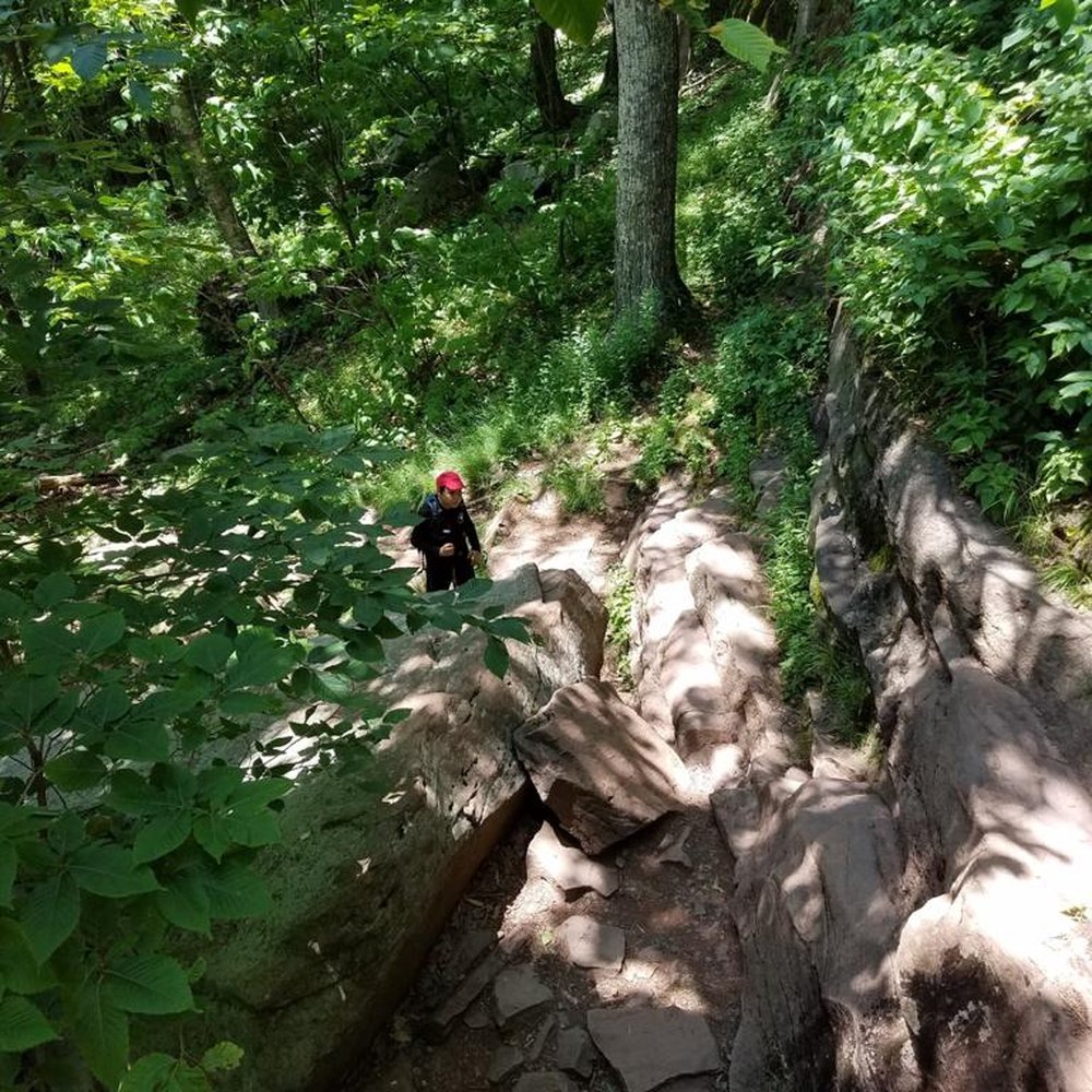 Catskill Center - Catskills, NY hiking trail - Cultural Center Near Me - Arkville, New York