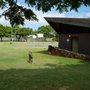 Photo of Manana Skate Park