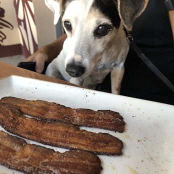 Cask & Ale - Side of bacon and dog friendly outside patio - New American Near Me - Sarasota, Florida Cask & Ale - Side of bacon and dog friendly outside patio - New American Near Me - Sarasota, Florida