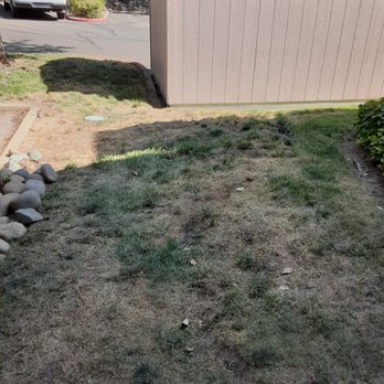 Apartment Ratings - Real Estate Services Near Me - El Segundo, California