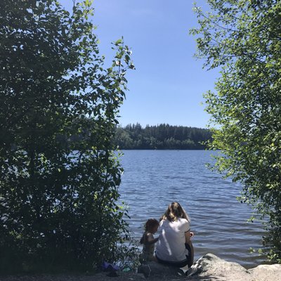 Lake Padden Park by null