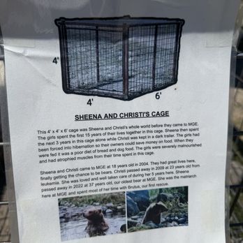 Montana Grizzly Encounter - They rescued the bears from living in this cage. - Amusement Parks Near Me - Bozeman, Montana Montana Grizzly Encounter - They rescued the bears from living in this cage. - Amusement Parks Near Me - Bozeman, Montana