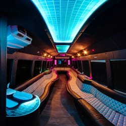 S & S Limousines