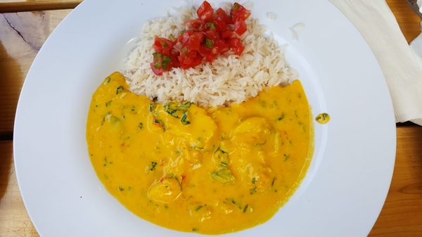 Brazilian House by null