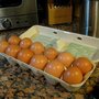 Photo of Medlyn Farms