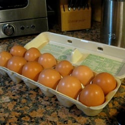 Medlyn Farms - Fresh eggs