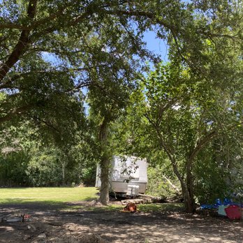 3 B’S Tree Removal - Tree Services Near Me - Pitkin, Louisiana 3 B’S Tree Removal - Tree Services Near Me - Pitkin, Louisiana