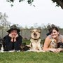 Photo of Doggie Day Inn