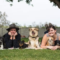 Doggie Day Inn - The two of us and our 'brood' :)