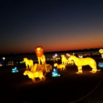 Chinese Lantern Festival - Festivals Near Me - Lauderhill, Florida