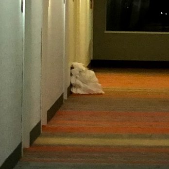 Home2 Suites by Hilton Blue Ash Cincinnati - More uncollected guest trash piled in hallway - Hotels Near Me - Blue Ash, Ohio Home2 Suites by Hilton Blue Ash Cincinnati - More uncollected guest trash piled in hallway - Hotels Near Me - Blue Ash, Ohio
