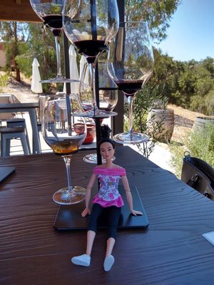 Pasoport Wine Company by null