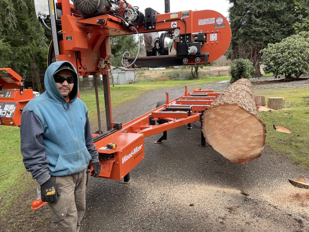 Ismael Tree Service - tree service in Tacoma, WA