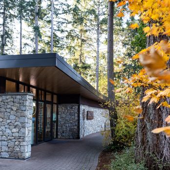 Tall Tree - Tall Tree Health nestled in Mattick's Farm in Cordova Bay, Victoria BC. - Chiropractors Near Me - Victoria, British Columbia Tall Tree - Tall Tree Health nestled in Mattick's Farm in Cordova Bay, Victoria BC. - Chiropractors Near Me - Victoria, British Columbia