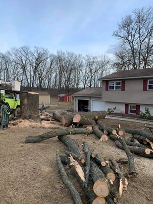 WOODPECKER TREE SERVICE - Updated January 2025 - 77 Photos - 5829