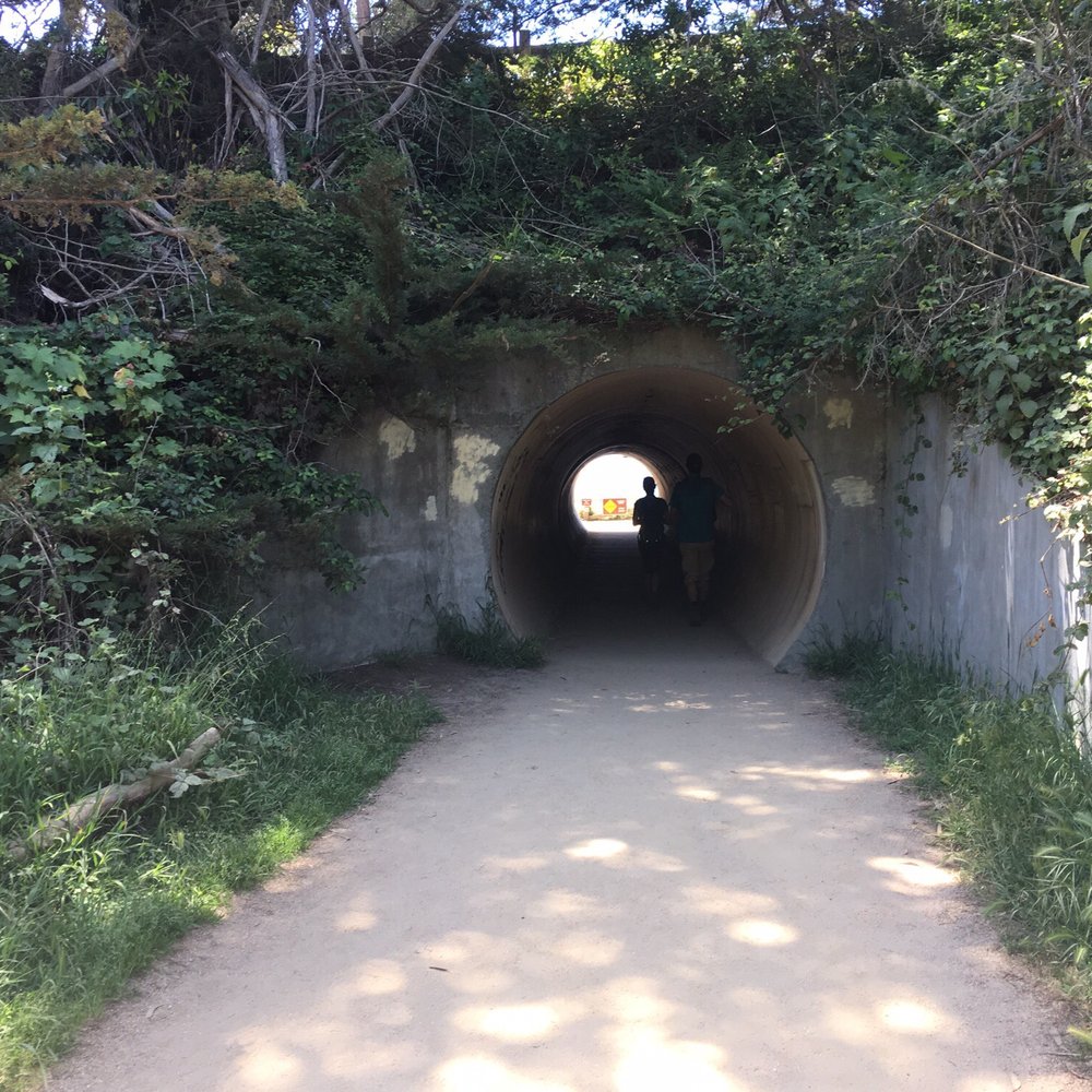 Julia Pfeiffer Burns State Park - Tunnel to waterfall - Parks Near Me - Big Sur, California