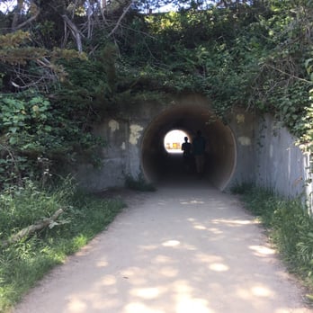 Julia Pfeiffer Burns State Park - Tunnel to waterfall - Parks Near Me - Big Sur, California Julia Pfeiffer Burns State Park - Tunnel to waterfall - Parks Near Me - Big Sur, California