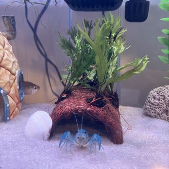 Fish Frenzy - Local Fish Stores Near Me - Temecula, California