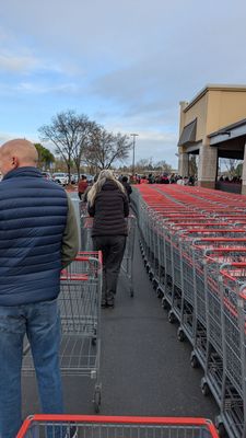 Costco Wholesale by null