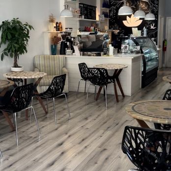 Zen Haus Cafe - Zen Haus Cafe, Ridgewood NJ - Cafes Near Me - Ridgewood, New Jersey Zen Haus Cafe - Zen Haus Cafe, Ridgewood NJ - Cafes Near Me - Ridgewood, New Jersey