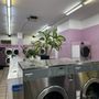 Village Laundromat