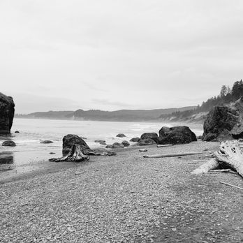 Ruby Beach - Driftwood - Beaches Near Me Ruby Beach - Driftwood - Beaches Near Me