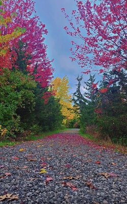 Beertown Public House Waterloo by null