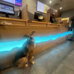 Lazy River Products - Great place to purchase a variety of products and they are dog friendly!