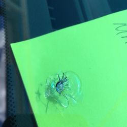 New Image Auto Glass - Combination Crack. Get your windshield repaired to avoid a replacement.