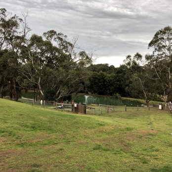 Green Olive at Red Hill - Restaurants Near Me - Main Ridge, VIC Green Olive at Red Hill - Restaurants Near Me - Main Ridge, VIC