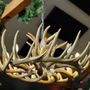 Photo of Stag & Hunter Hotel