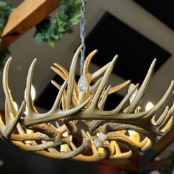 Stag & Hunter Hotel