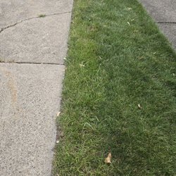 Superior Lawn Care