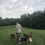 Photo of Grays Road Dog Park