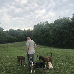 Grays Road Dog Park - Took our 7 month old Aussie, Luna, to the dog park today! There were lots of other doggies here to play with