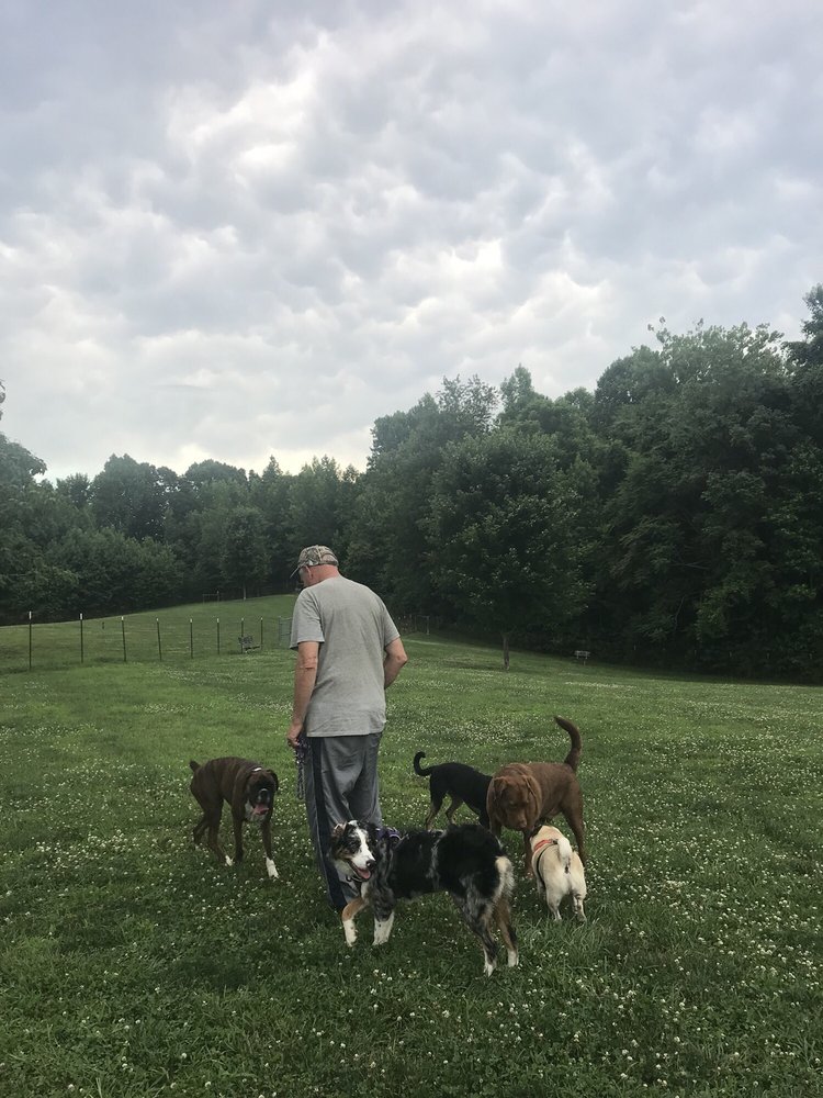 GRAYS ROAD DOG PARK Updated June 2024 2695 Grays Rd, Prince