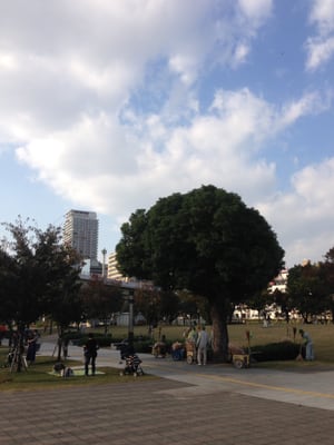 Nakanoshima Park by null