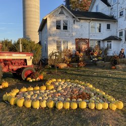 Snyder's Farm - Pumpkin and house photo op
