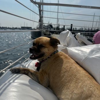 Heron Luxury Charters - Sailing Near Me Heron Luxury Charters - Sailing Near Me