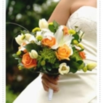 Silver Horse Florist - Photo - Florists Near Me - Kentville, Nova Scotia Silver Horse Florist - Photo - Florists Near Me - Kentville, Nova Scotia