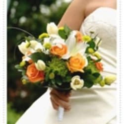 Silver Horse Florist - Photo
