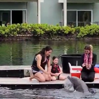 Dolphin Quest - Tours Near Me - Honolulu, Hawaii