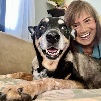 Canine Visions - Holistic Animal Care Near Me - Kihei, Hawaii Canine Visions - Holistic Animal Care Near Me - Kihei, Hawaii