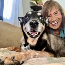 Canine Visions