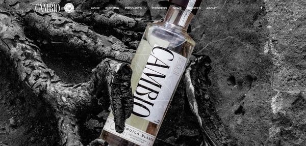 Argent Foundry Web Design & Marketing