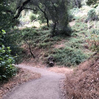Castleridge Trailhead - On the trailhead - Hiking Near Me - Pleasanton, California