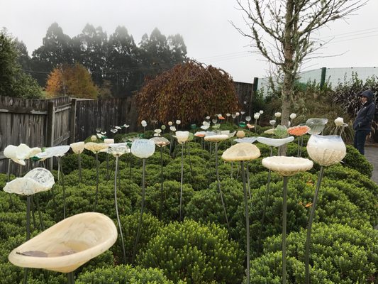 Lava Glass - Glassblowing Studio, Sculpture Garden, Art Gallery, Café by null