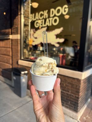 Black Dog Gelato by null