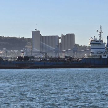 Bloo Boat Charter - container ships entering the Tagus River - Boat Tours Near Me - Lisboa, 11