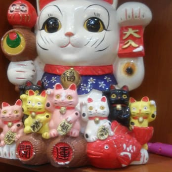 Affable Eatery - Mamma Happy Cat and many kittens - Dim Sum Near Me - Brooklyn, New York
